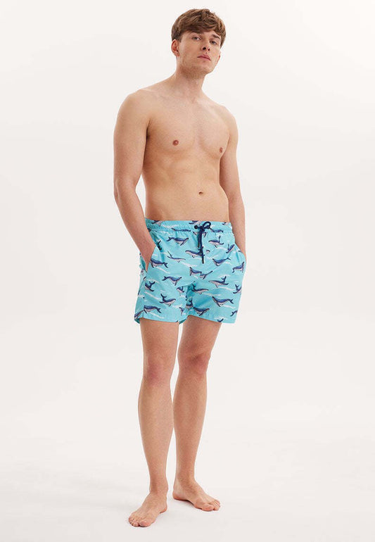 WMPATTERN - Badeshorts - Turquoise Aop