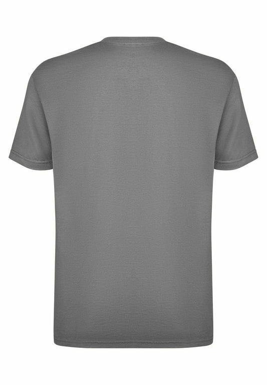 SCORPIONS STING - T-Shirt Print - Grey