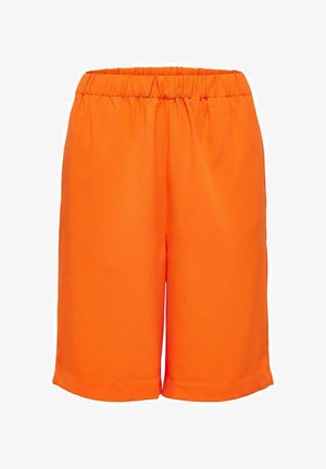  Shorts - Rot