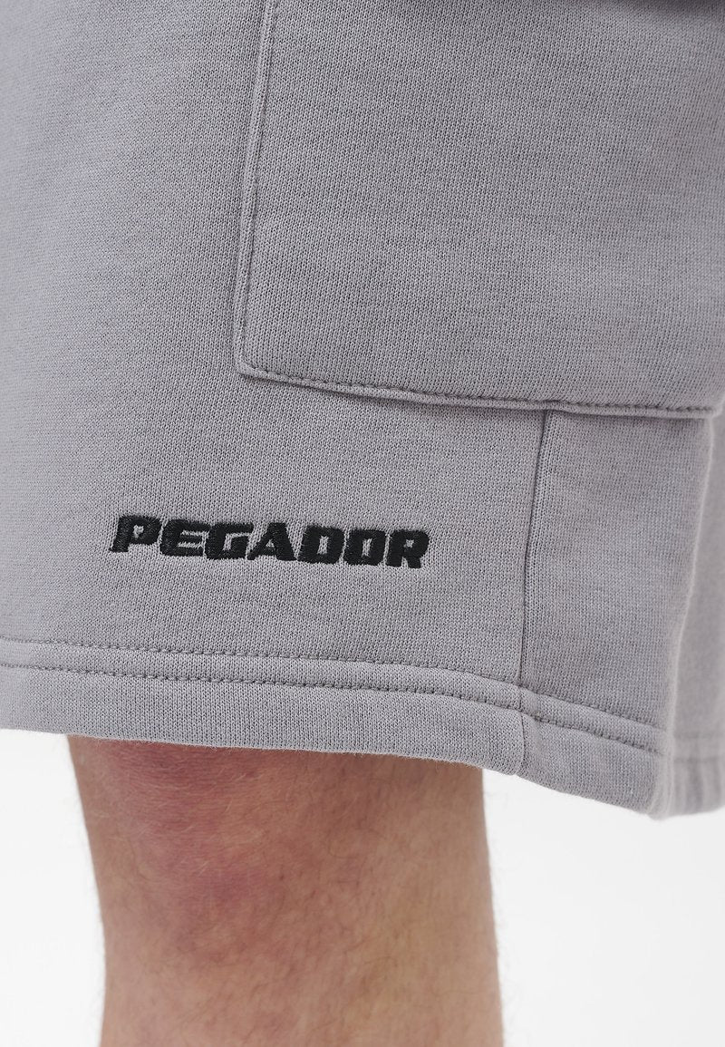 Pegador PINEDA HEAVY VINTAGE UNISEX - Shorts - Washed Dusk Grey