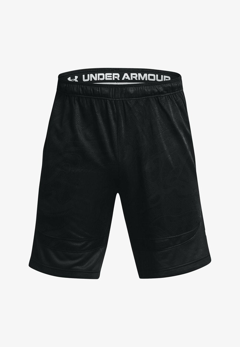 Under Armour HEATWAVE HOOPS - Kurze Sporthose - Black