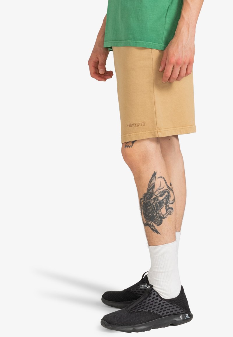 Element CORNELL - Shorts - Khaki