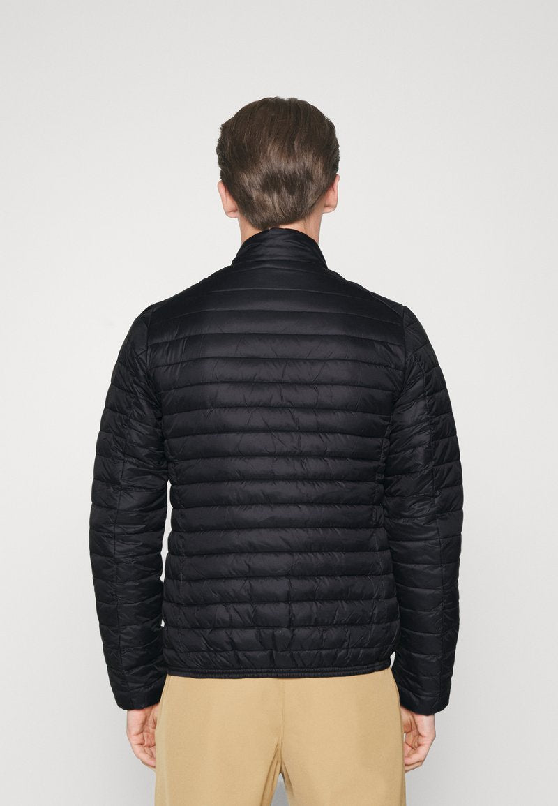 SAVE THE DUCK ALEX - Winterjacke - Black