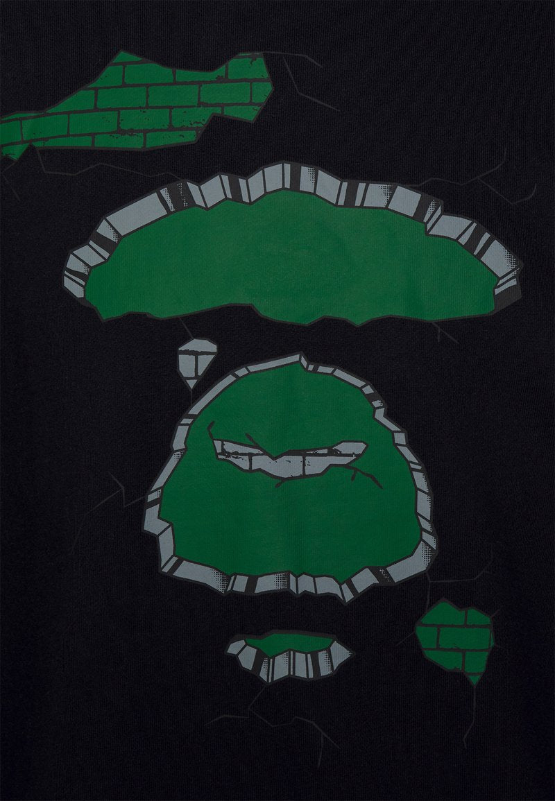  PLANET OF THE APES REFERENCE CREW NECK - Sweatshirt - Green