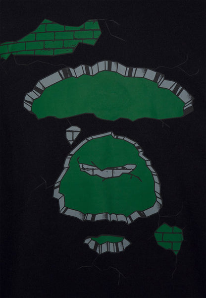  PLANET OF THE APES REFERENCE CREW NECK - Sweatshirt - Green