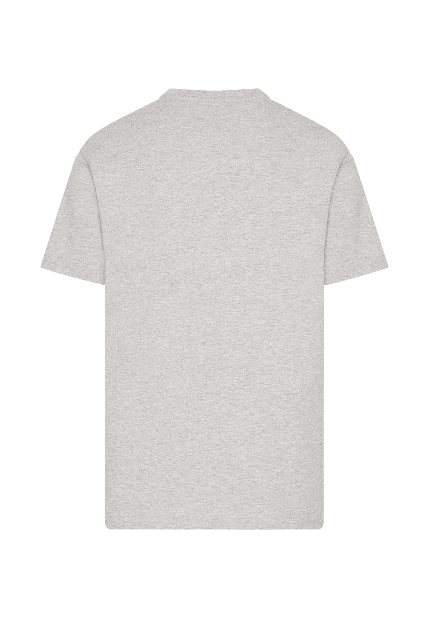 F4NT4STIC COCA COLA AMERICANA - Print T-shirt - Heather Grey