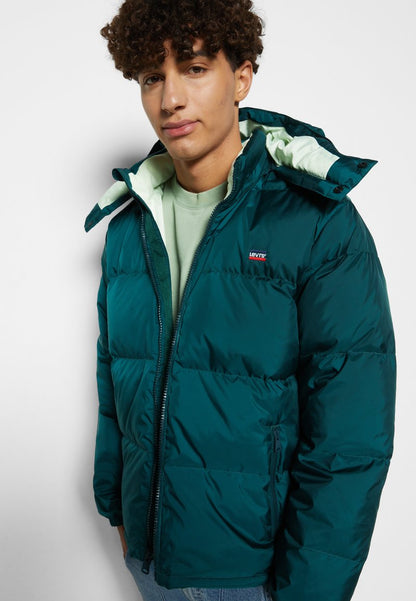 HOODED FILLMORE - Daunenjacke - Ponderosa Pine