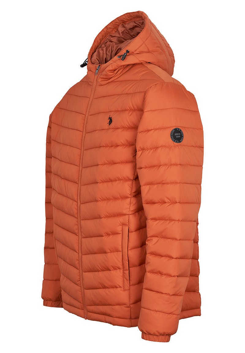 U.S. Polo Assn. CLAS BUBBLE - Winterjacke - Bombay Brown