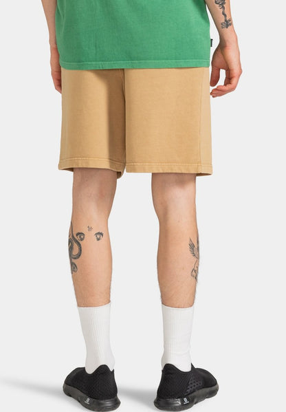 Element CORNELL - Shorts - Khaki