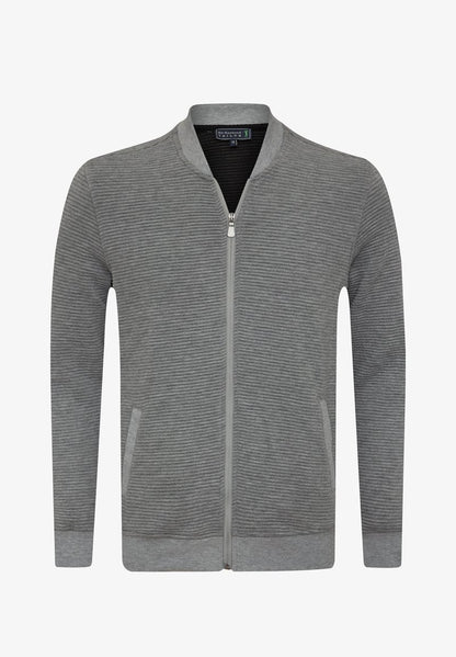  ISLANDY - Sweatjacke - Grey