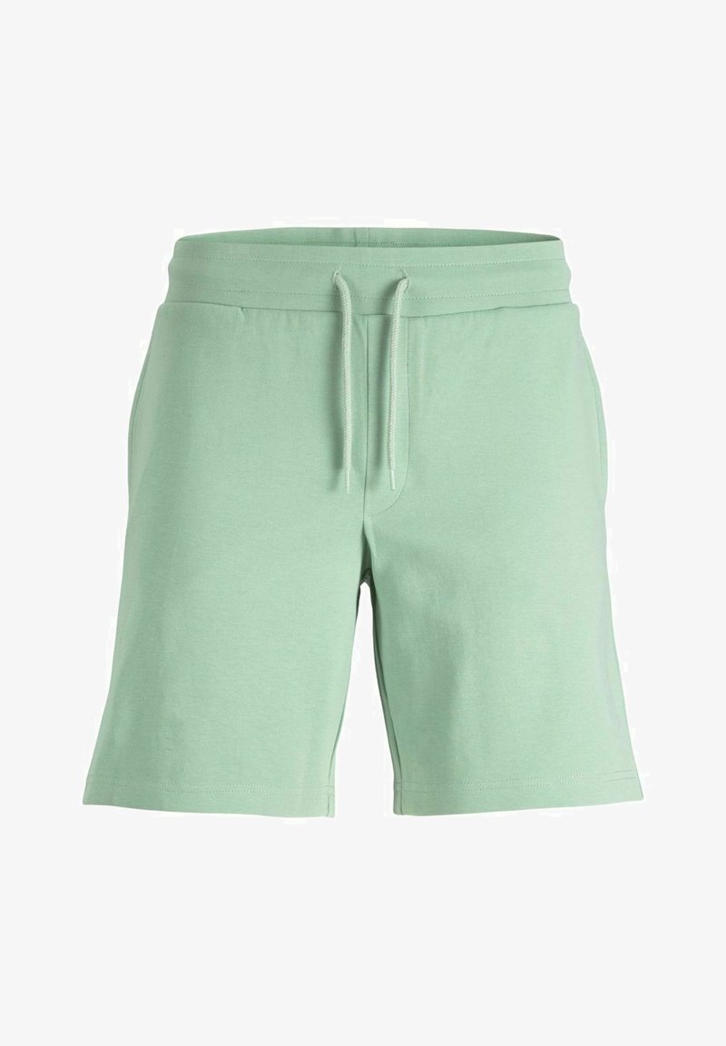 Jack & Jones JPSTNEWBASIC NAFA NOOS - Shorts - Braun