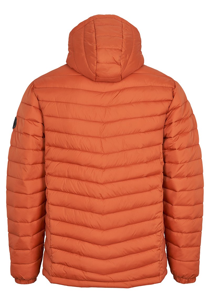 U.S. Polo Assn. CLAS BUBBLE - Winterjacke - Bombay Brown