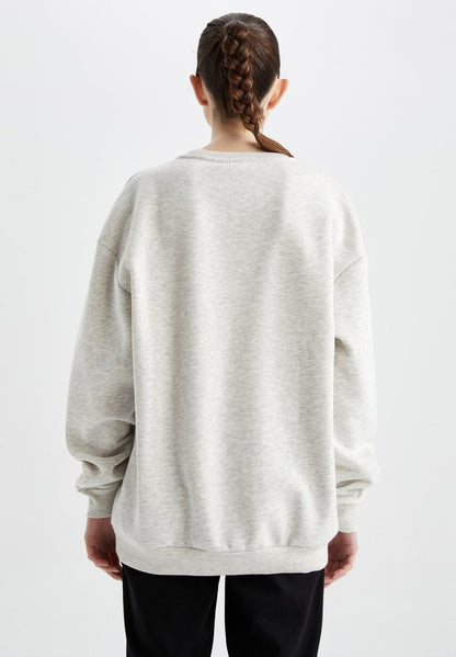 DeFacto SEATTLE SEAHAWKS BOXY FIT - Sweatshirt - Grey