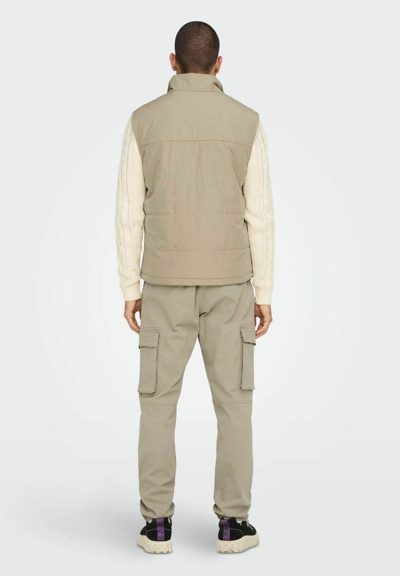Only & Sons ONSMELVIN LIFE LIGHT - Weste - Chinchilla