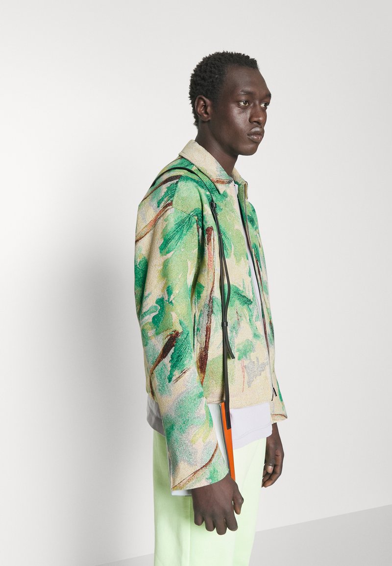 Emporio Armani BLOUSON JACKET - Leichte Jacke - Verde Acquitrino