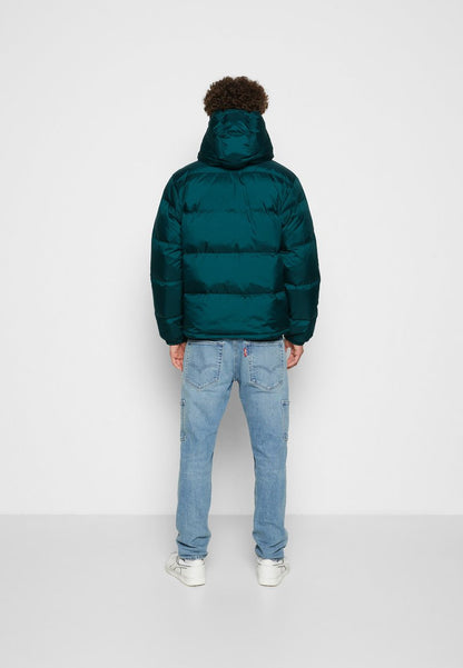  HOODED FILLMORE - Daunenjacke - Ponderosa Pine
